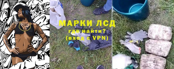 ГАЛЛЮЦИНОГЕННЫЕ ГРИБЫ Беломорск