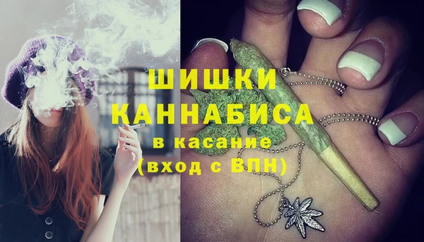 гашик Белоозёрский