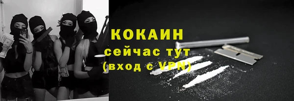 гашик Белоозёрский