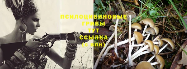 spice Белокуриха