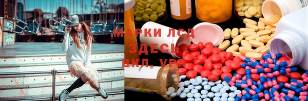spice Белокуриха