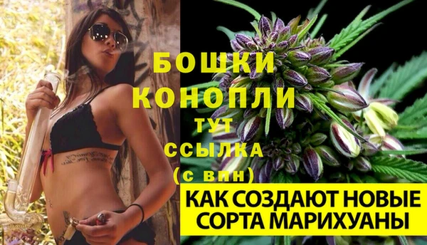 spice Белокуриха