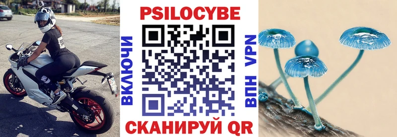 МЕГА онион  Вятские Поляны  Псилоцибиновые грибы ЛСД 